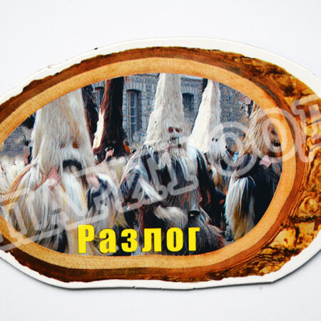 Флекси магнит - Разлог 2