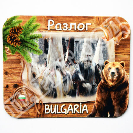 Флекси магнит - Разлог 12