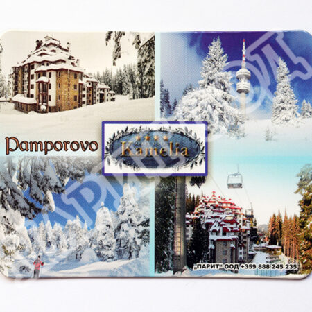 Флекси магнит - хотел Камелия 63