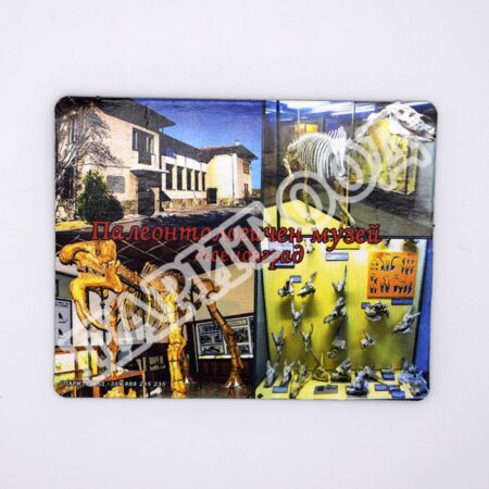 Флекси магнит - Палеонтологичен музей 4