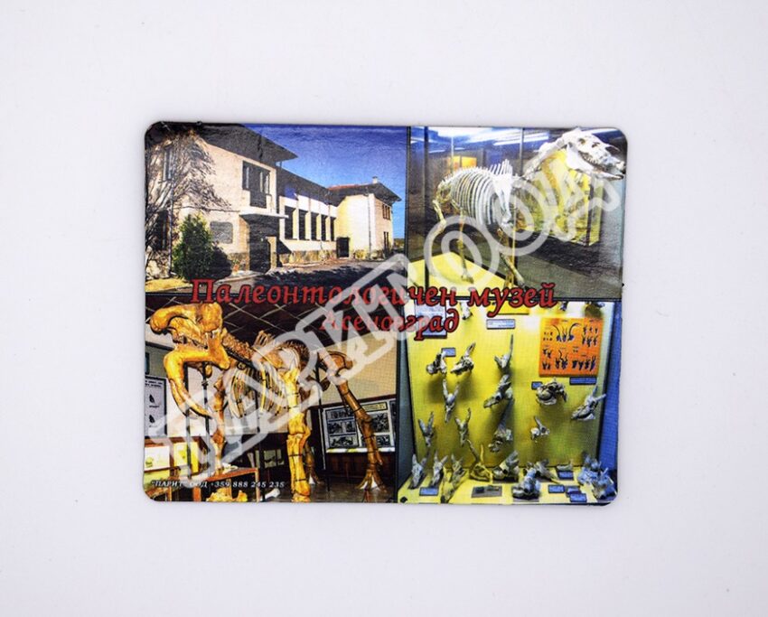 Флекси магнит - Палеонтологичен музей 4