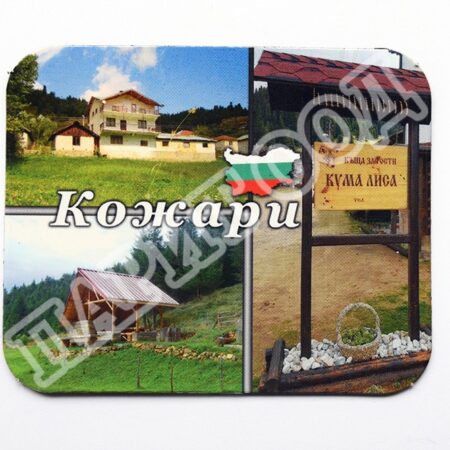 Стандартни магнити