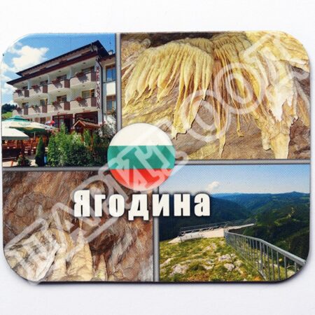 Флекси магнит - Ягодина 11