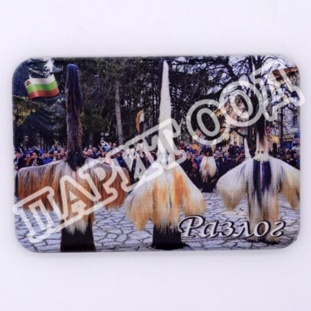 Магнитна плочка - Разлог 21