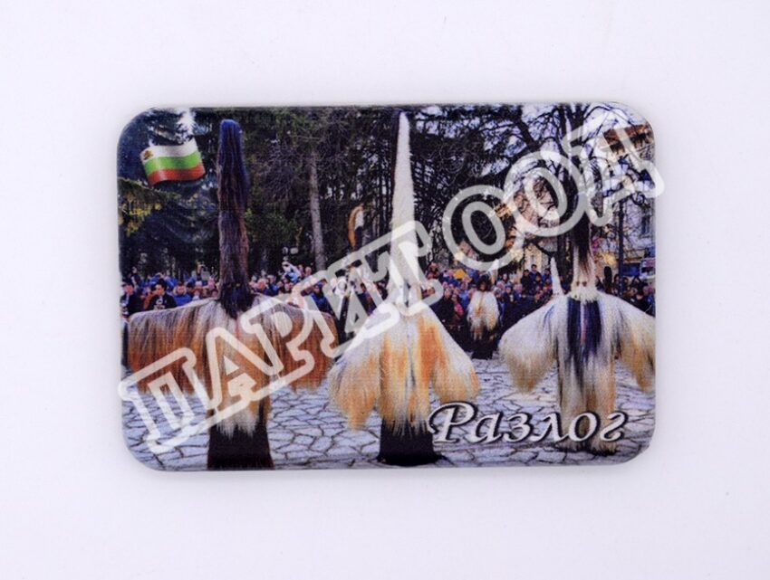 Магнитна плочка - Разлог 21