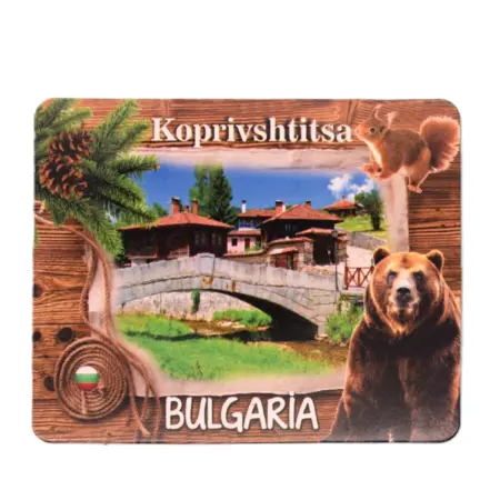 Флекси магнит - Копривщица 3