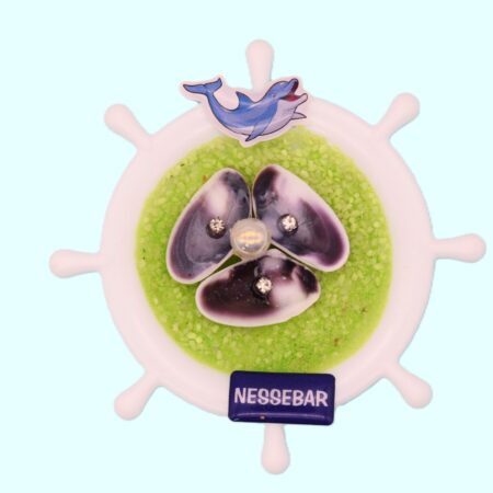 Сувенирен 3D магнит рул – Несебър