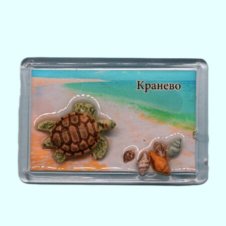 ParitShop20250717124134