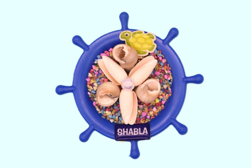 Сувенирен 3D магнит рул - Шабла 2