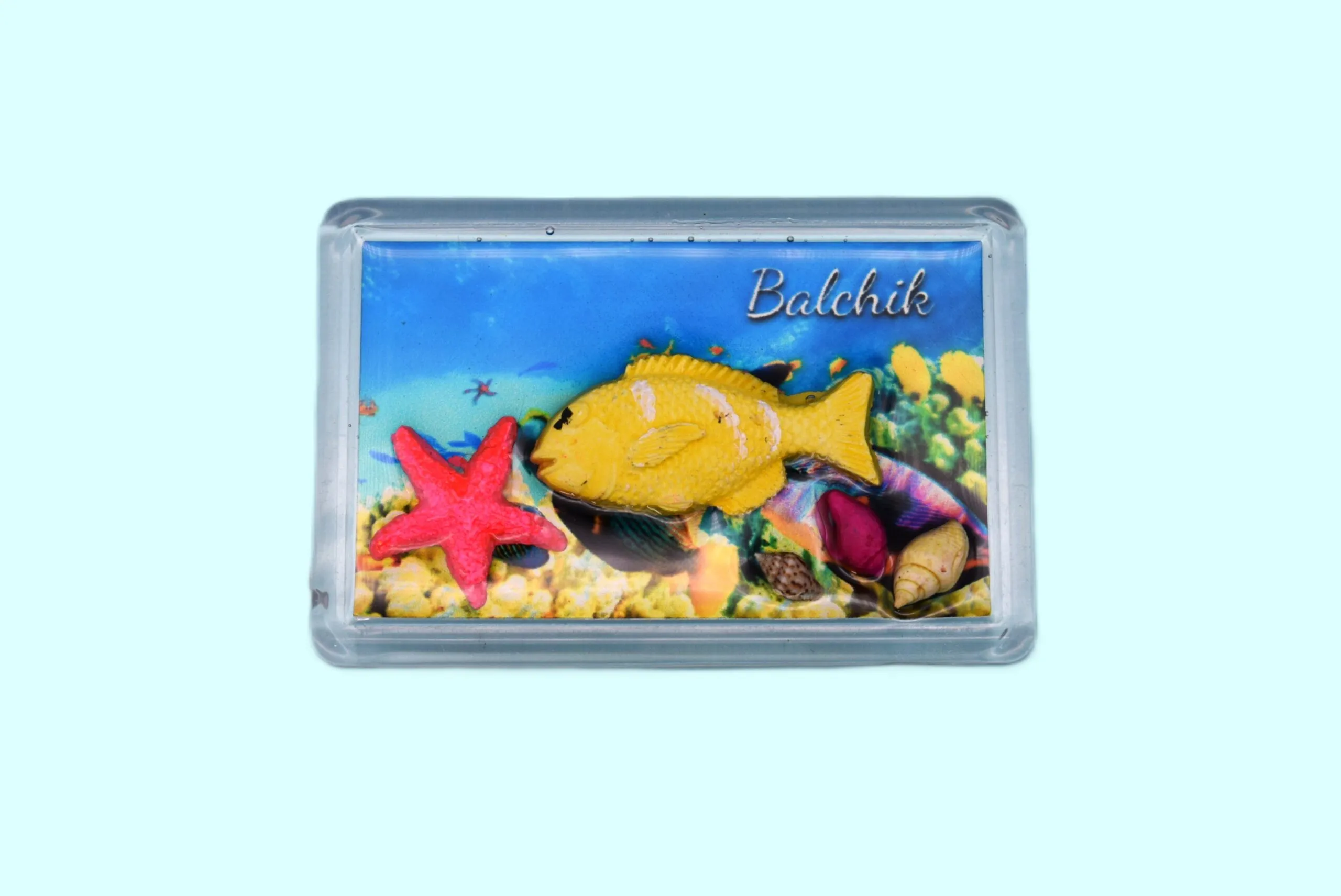 ParitShop20250722053925