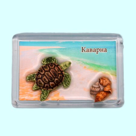 ParitShop20250722080237