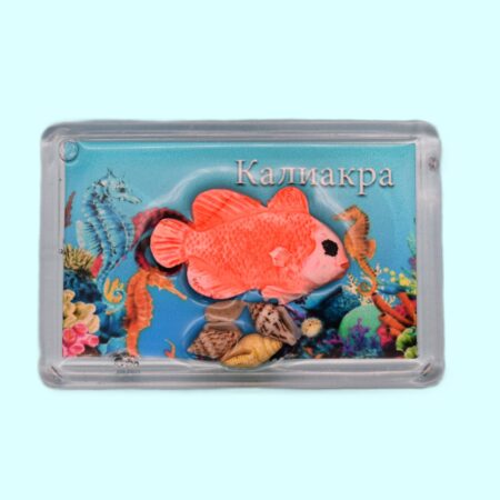 ParitShop20250722112115