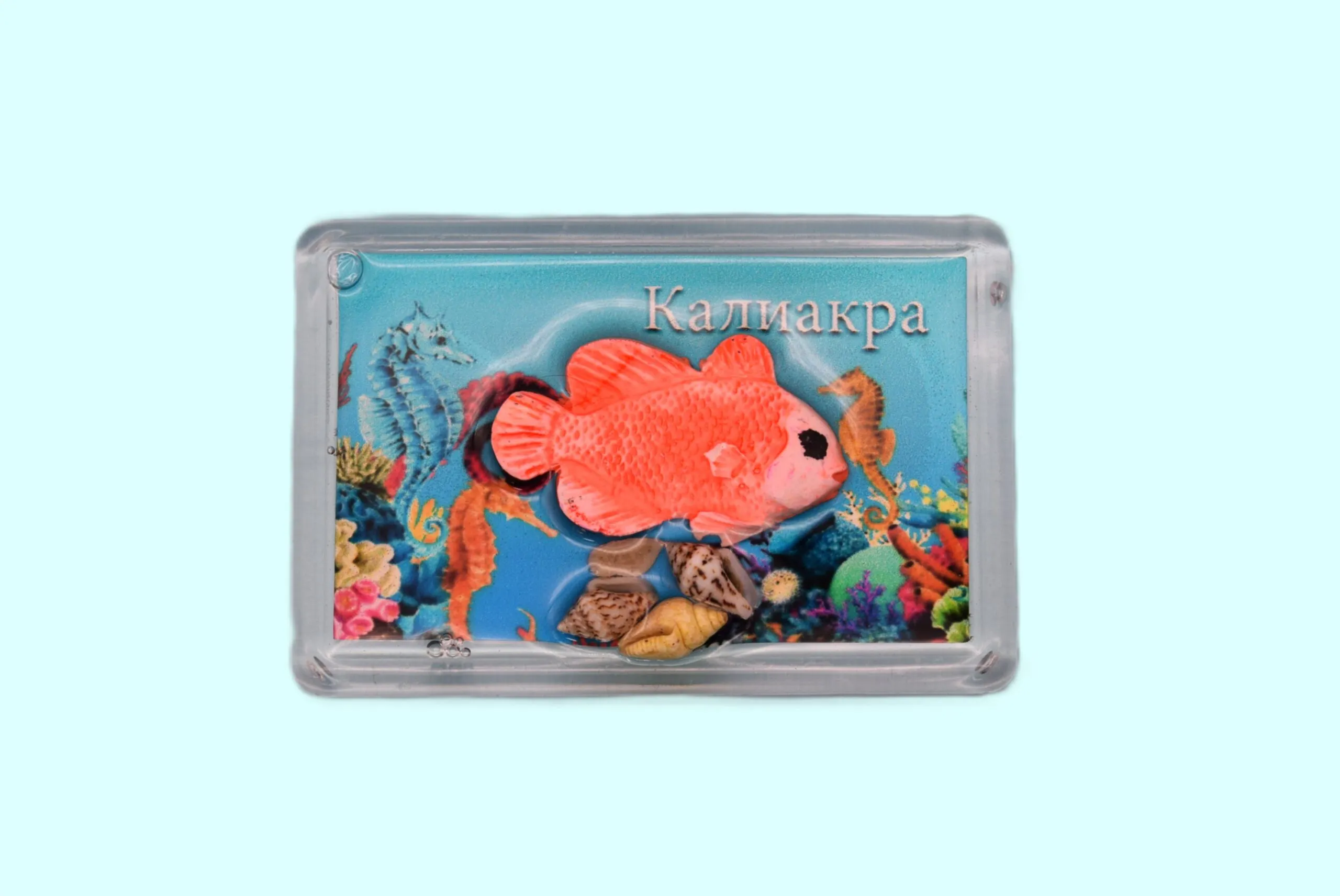 ParitShop20250722112115