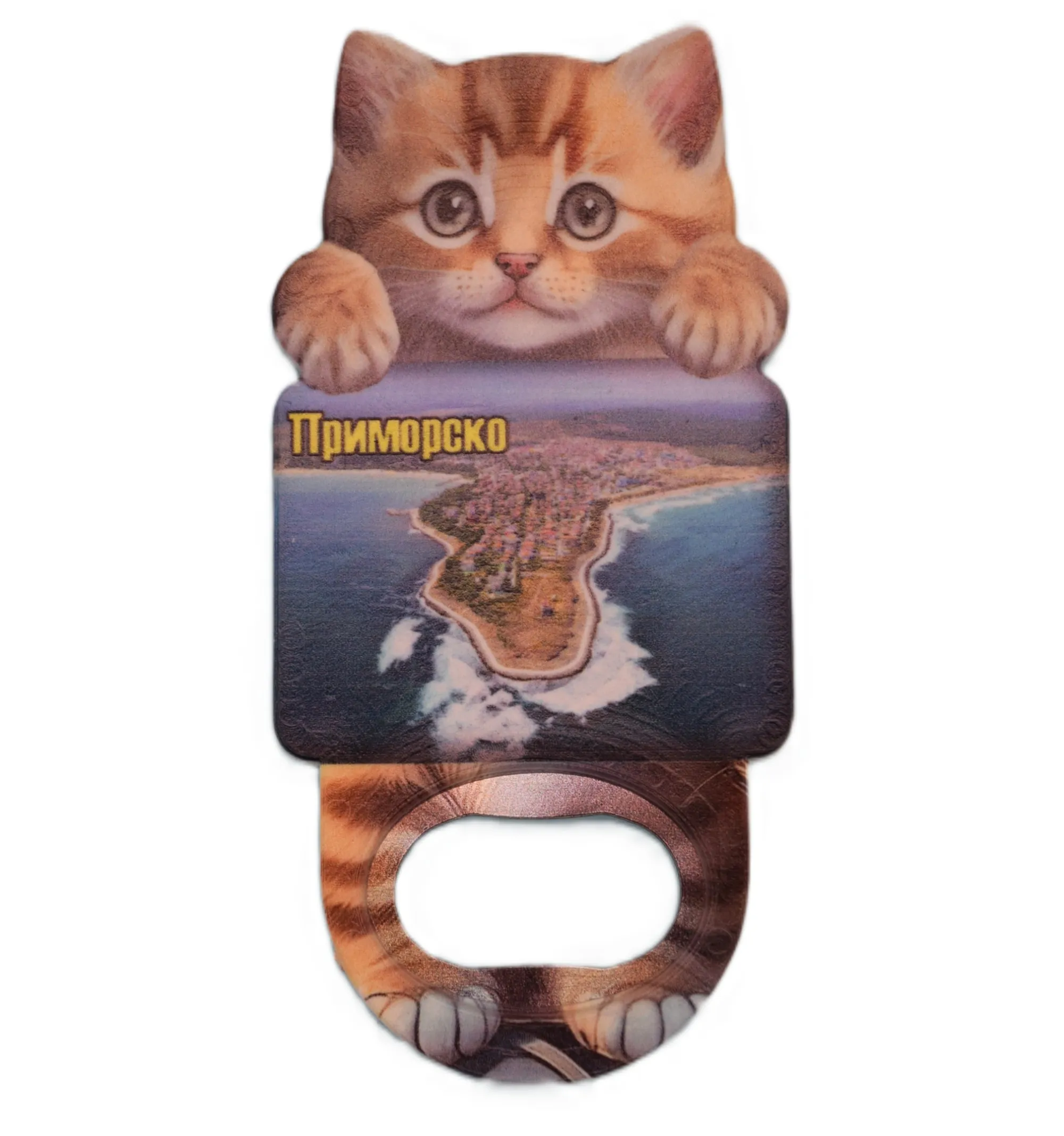 ParitShop20250724054743