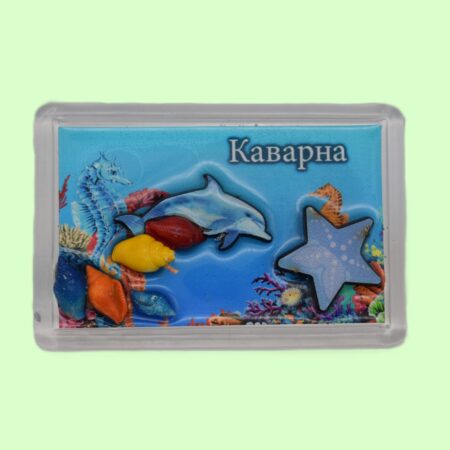 ParitShop20250801094512