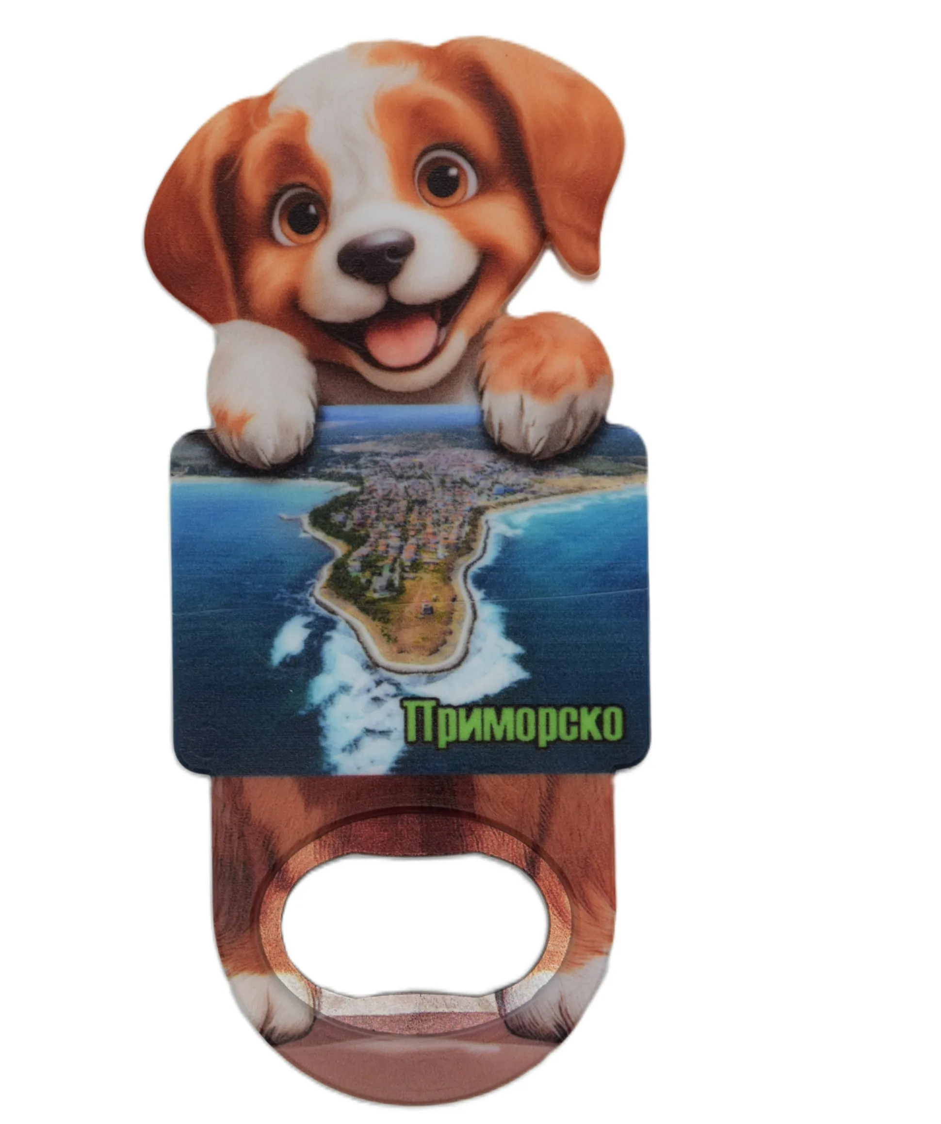 ParitShop20250805105550