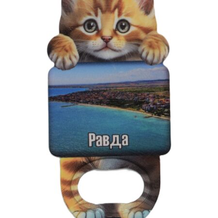 ParitShop20250820124705