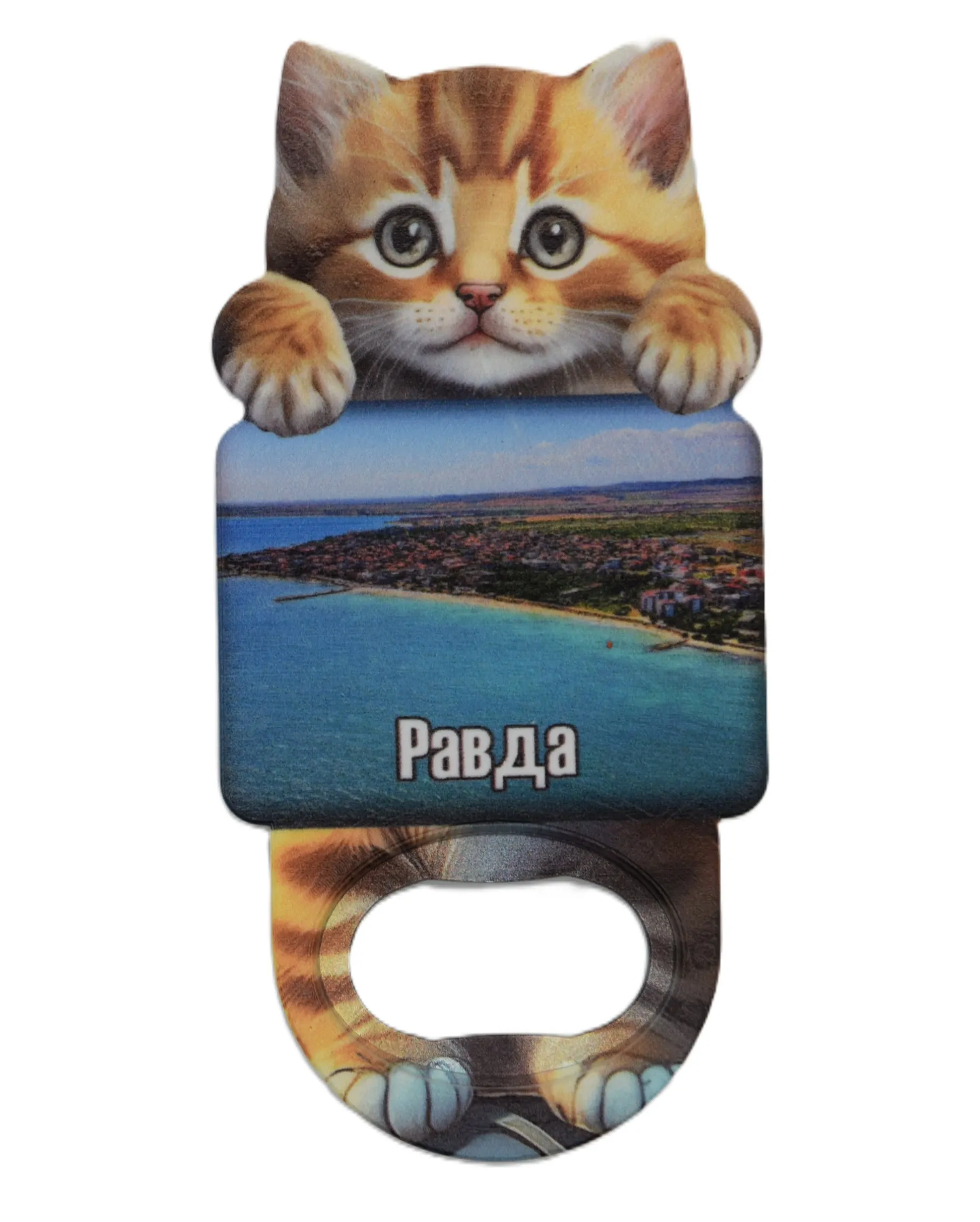 ParitShop20250820124705