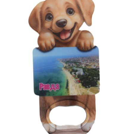 ParitShop20250821134802