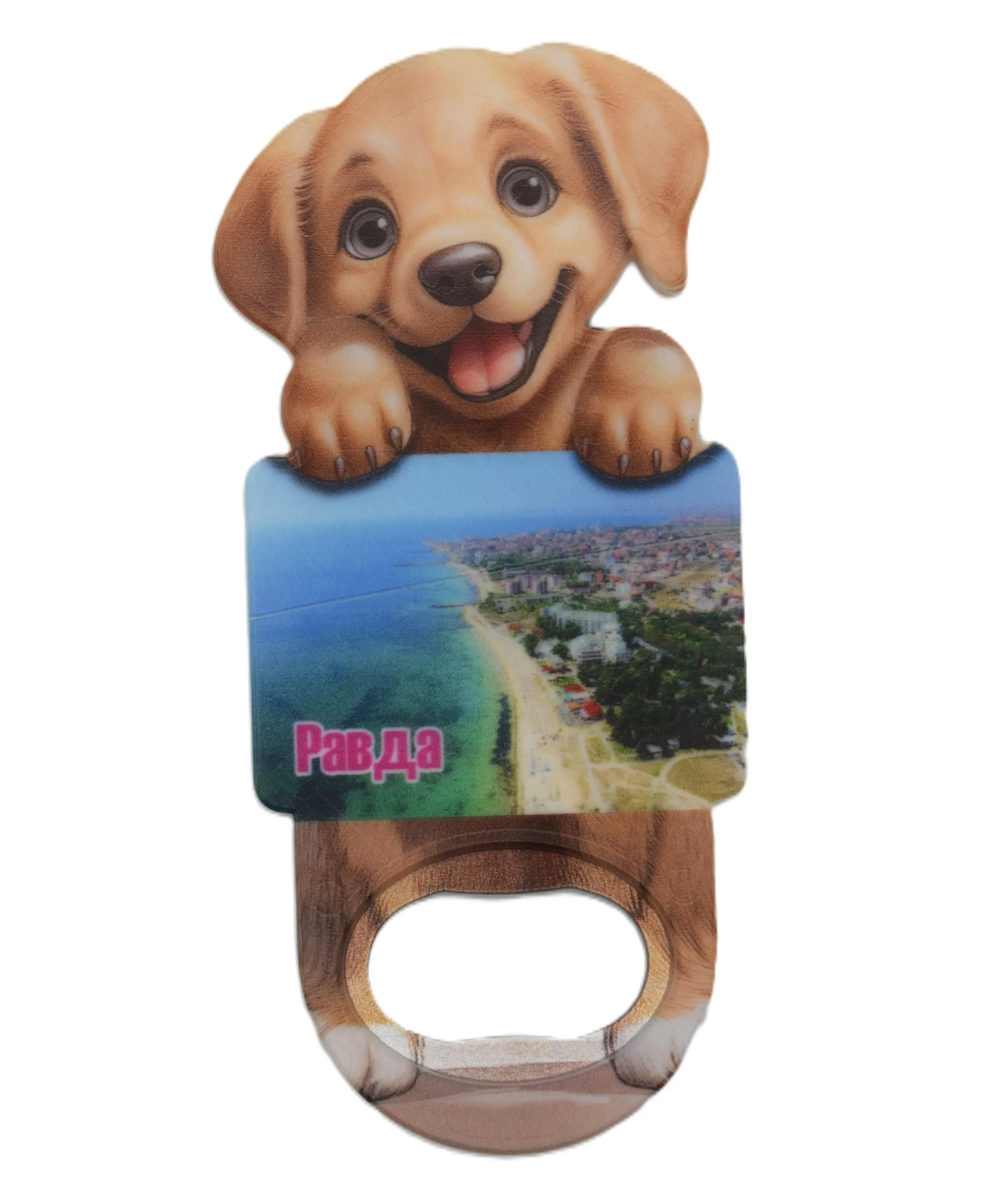 ParitShop20250821134802