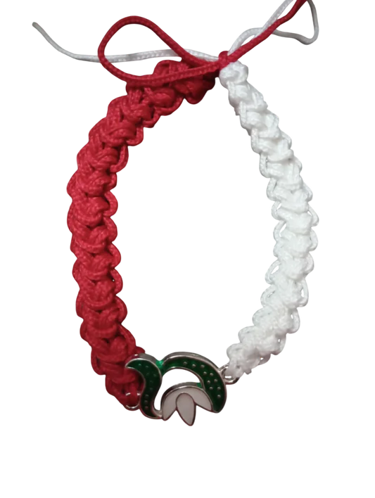 ParitShop20251003125251