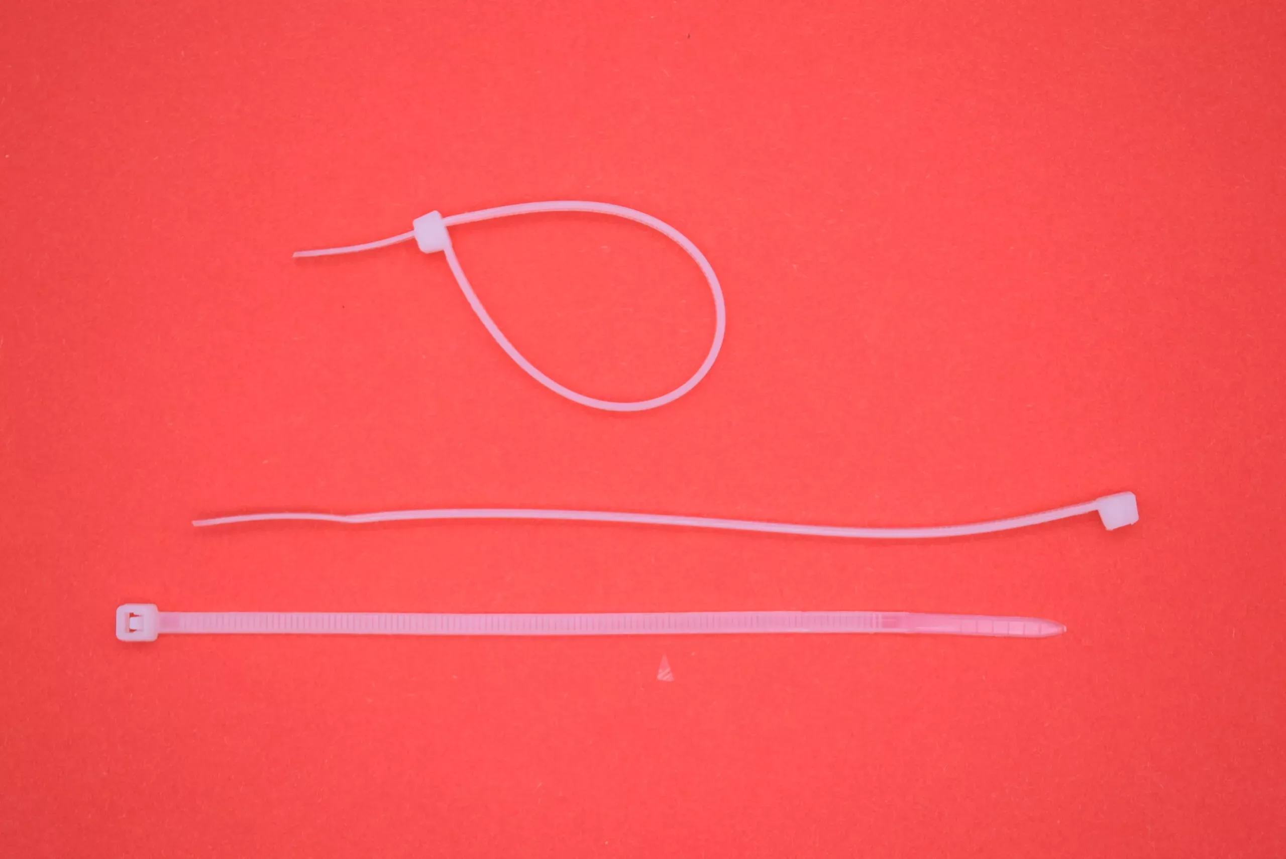 ParitShop20260122092432